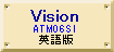 Vision(mattwhite)